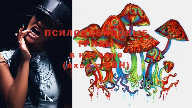 Псилоцибиновые грибы Cubensis Болгар