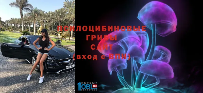 Псилоцибиновые грибы Psilocybe  Болгар 